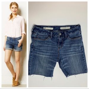 Pilcro and The Letter Press Anthropologie Shorts